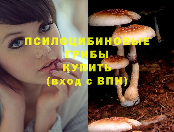 дурь Белокуриха