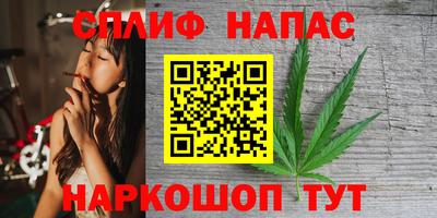 крисы Беслан