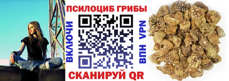 гидра зеркало  Великие Луки  Псилоцибиновые грибы мухоморы 