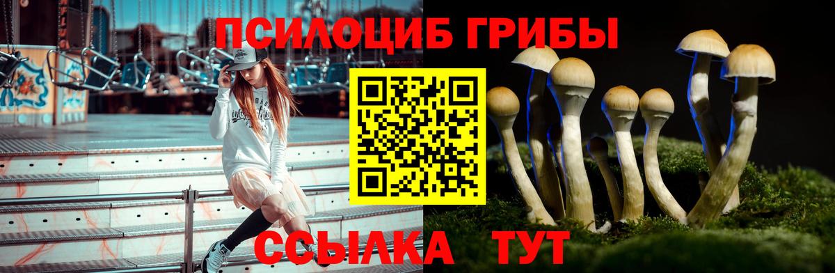 Псилоцибиновые грибы Psilocybine cubensis  Вход с VPN  Великие Луки 